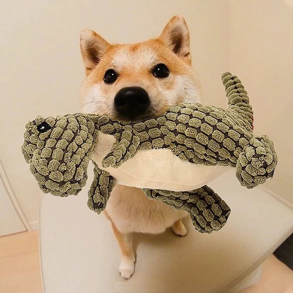 Indestructible Robust Dino - Dog Toy 2.0 Upgraded Version