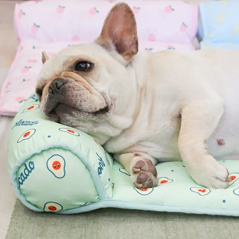 🔥Cats/Dogs Cooling  Bed