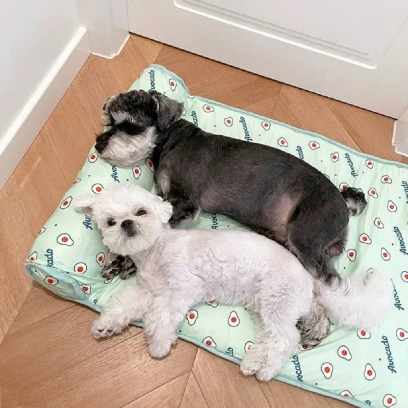 🔥Cats/Dogs Cooling  Bed